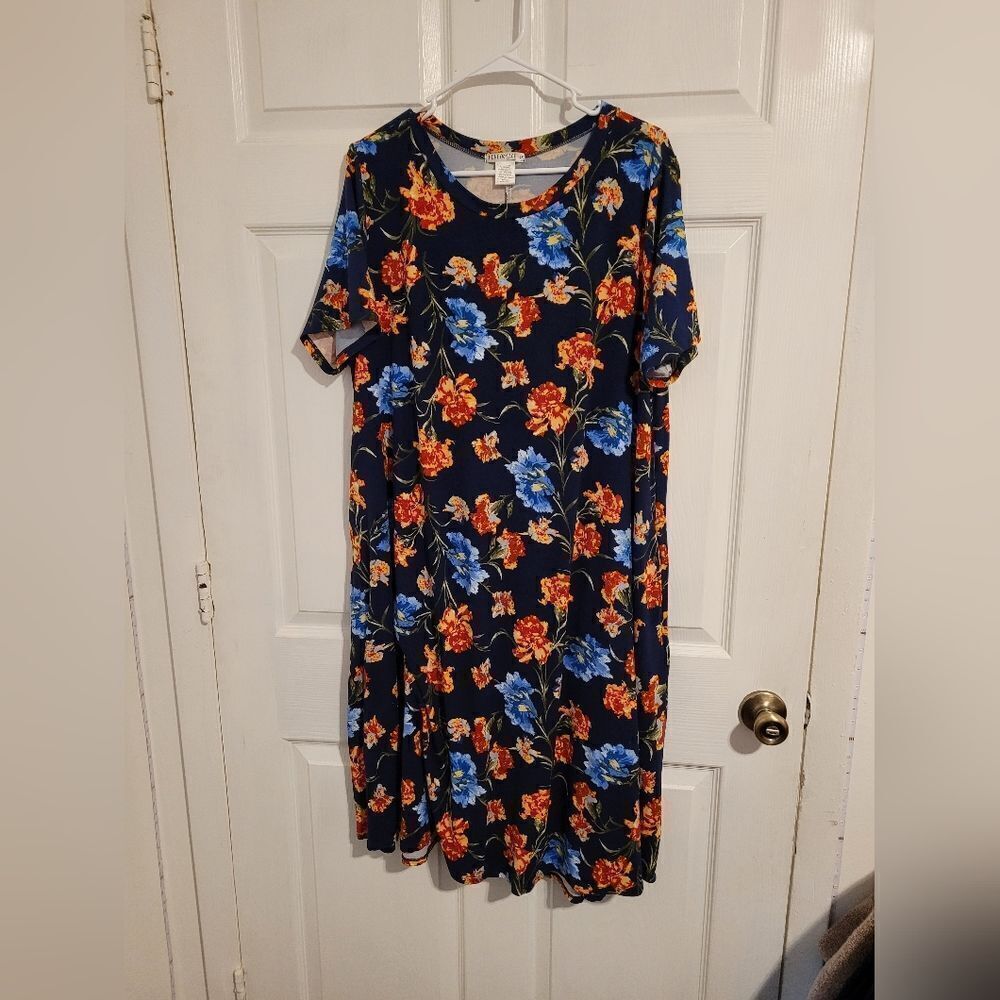 Honey & Lace blue‎ and red floral dress